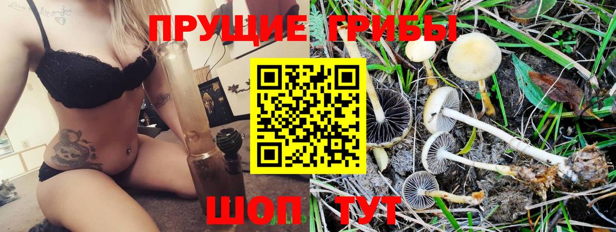 Псилоцибиновые грибы мухоморы Новодвинск
