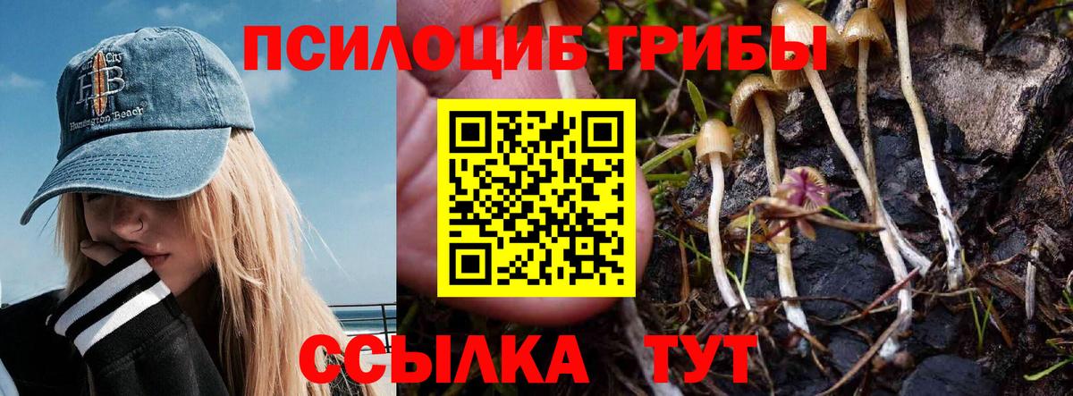 Галлюциногенные грибы GOLDEN TEACHER  Вход с VPN  продажа наркотиков  Новодвинск 